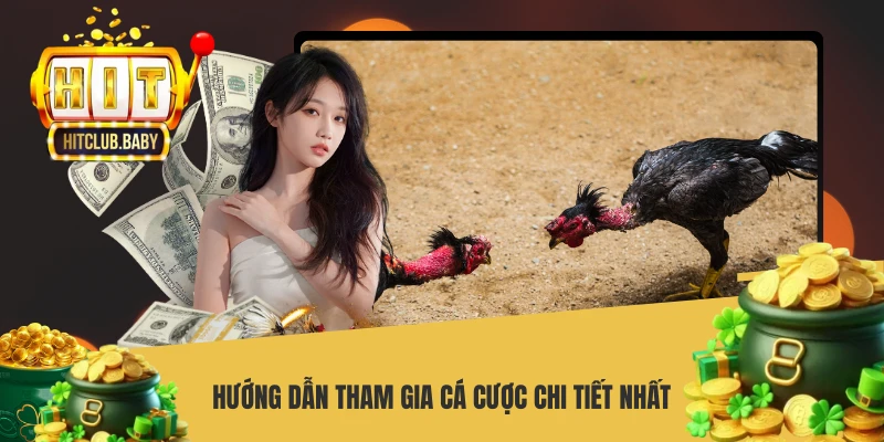 Hướng dẫn tham gia cá cược chi tiết nhất